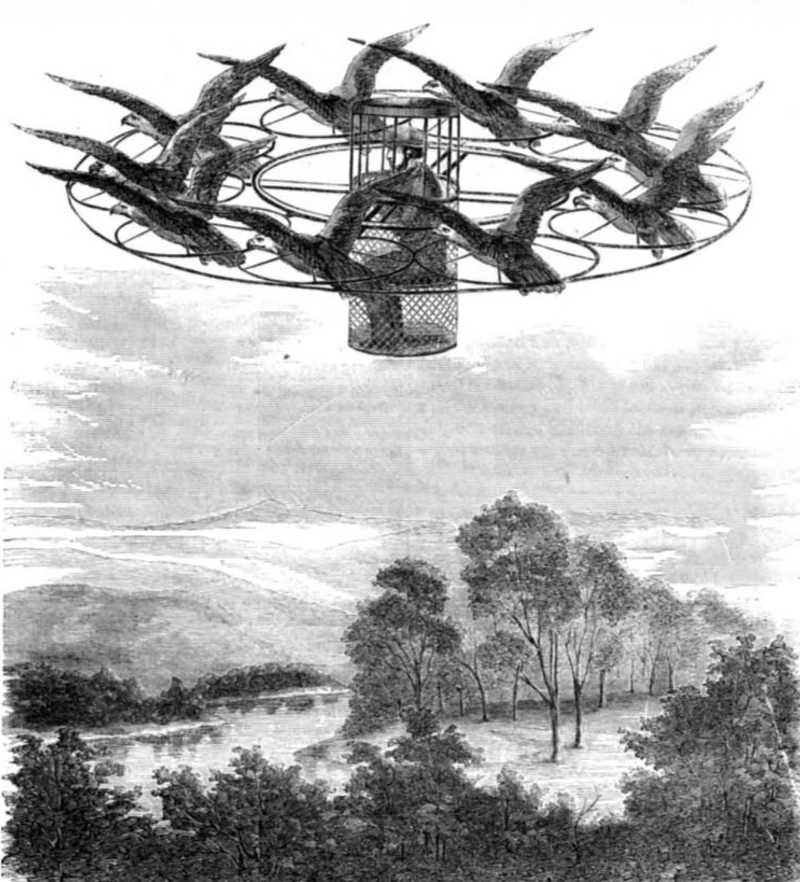 A natural flying machine